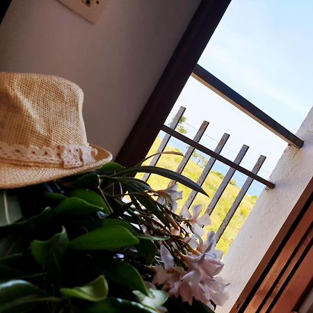 Xaloc, Apartament Amb Vistes A Mar M4 El Port De La Selva Ngoại thất bức ảnh